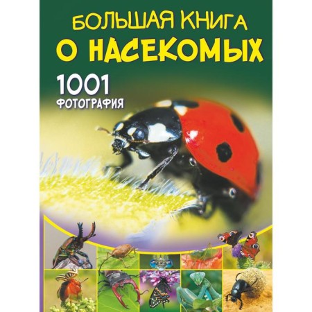 Big book about insects. 1001 photography. Spector A.A.