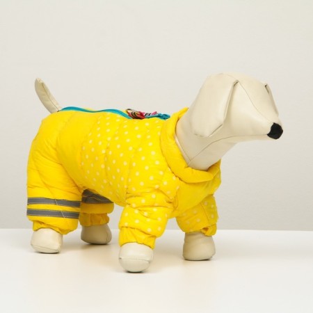 Kombinson for dogs "peas", size 14 (DS 27, OG 38, Osh 30 cm), yellow