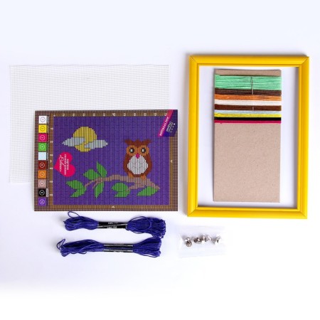 A set of creative creativity “Embroidery on a plastic canvas. Owl "Series Plastic Canvas-1