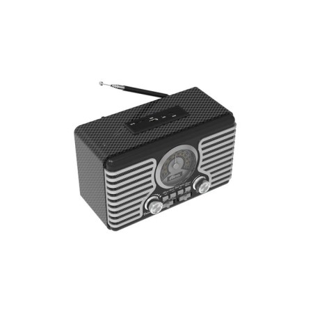 RITMIX RPR-095, 220 V radio receiver. IEC, USB, Jack 3.5, Microsd, Silver