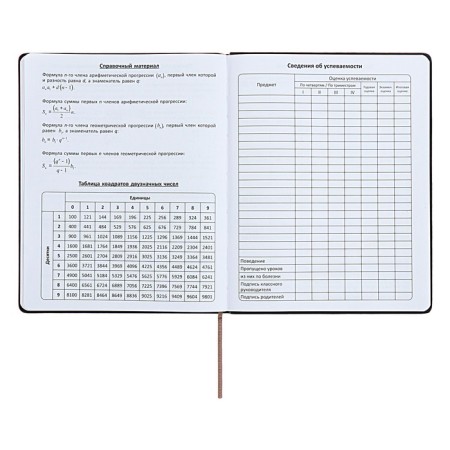 Universal diary for grades 1-11 "Geometry", solid cover of artificial leather, silkography, lies, 48 ​​sheets, brown-turquoise-13