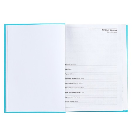 The diary is half -dantered for 4 years A5, 192 sheets, the cover of the boumville, turquoise-2