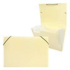 Folder Carder Calligrata watercolor 13 department. A4 plastic 0.7mm vanilla, black resident