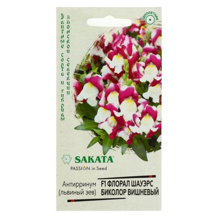 Flower seeds Antirrinum (Lion Zev) "Floral Shauers Bikolor", Cherry, 7 pcs