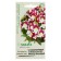 Flower seeds Antirrinum (Lion Zev) "Floral Shauers Bikolor", Cherry, 7 pcs