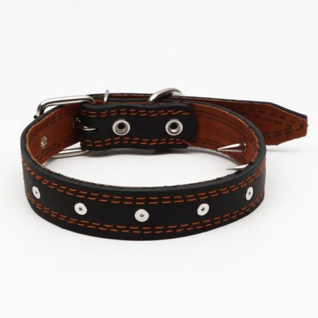 Leather collar "Strict spike", 65 x 3 cm, Osh 40-55 cm, black