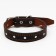 Leather collar "Strict spike", 65 x 3 cm, Osh 40-55 cm, black