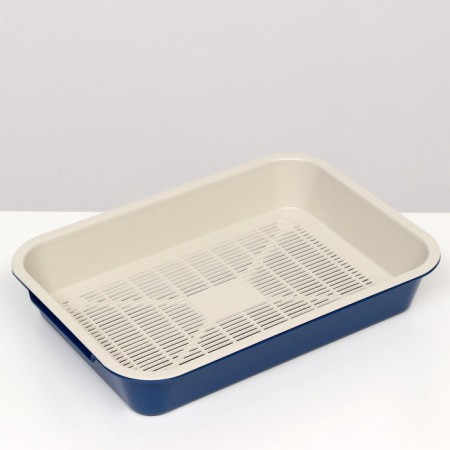 Medium toilet with a mesh of 36 x 26 x 6.5 cm, blue/beige-3