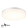 Opal lamp, 1x40W LED, 4000K, 3800LM, IP54, white color