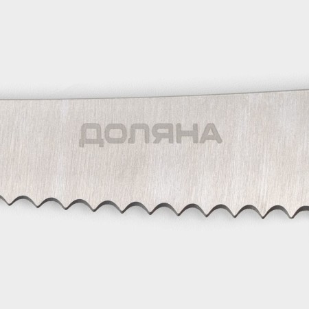 A set of kitchen knives on the ardone stand, 7 objects: 5 knives, musat and scissors, chrome color-5