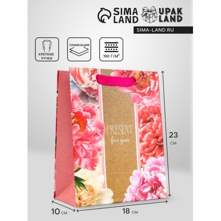 Gift Vertical Present For You, 18 x 23 x10 cm