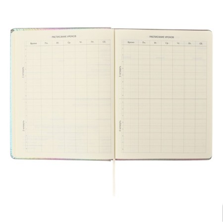 Universal diary for grade 1-11 "Take me such", solid cover, artificial leather, foam rubber, silkography, liesse, 80 g/m2-4