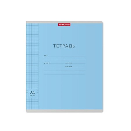 Notebook 24 sheets in a cage, Erichkrause Visio "Classic", cover coated cardboard, block offset, whiteness 100%, mix-7