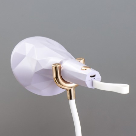 Delser table lamp LED 3W USB AKB Violet 14x13x39 cm Risalux-8