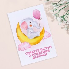 Folder for birth certificate 