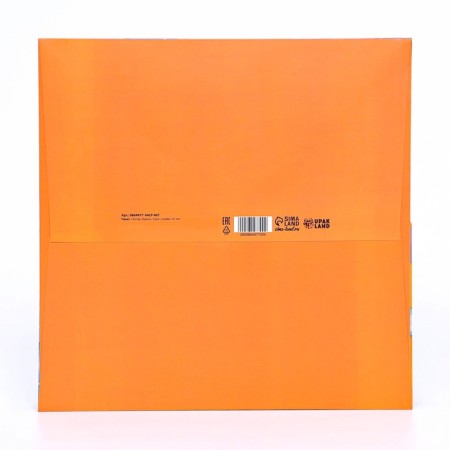 Package for the Cake "Birthday" 30x30x30cm-3