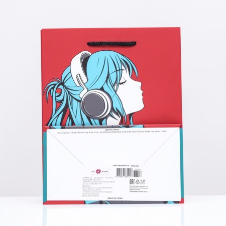 Gift Package "Melomania" 18 x 22.3 x 10 cm-1