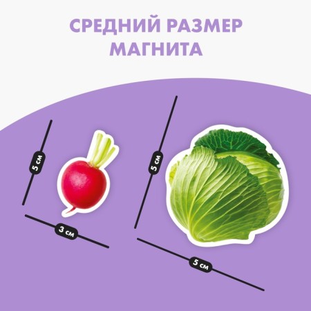 Magnetic game "Vegetables"-2