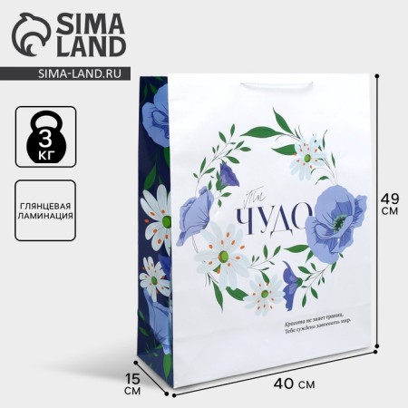 Gift package laminated, packaging, “You are a miracle”, 40 x 49 x 15 cm-1
