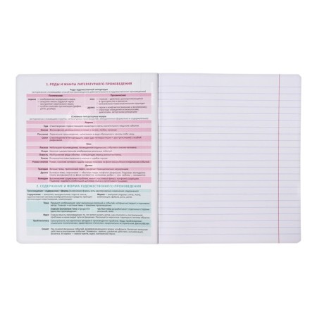 Subject notebook, 48 sheets, ruler, literature Erichkrause "Persons", Plastic Cover Silkography, Bloc Offset Beliac 100%, Info-block-3