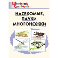Directory. Insects, spiders, pollowers primary school. Sergeeva M.N.