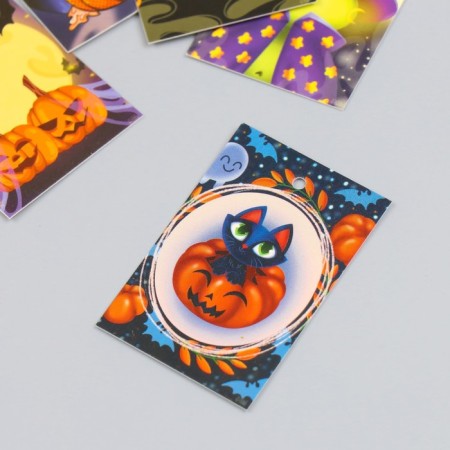 Cardboard Biro "Autumn Halloween Miscellaneous" set 10 pcs (5 types) 4x6 cm-2