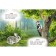 Forest neighbors. Stepanov V.