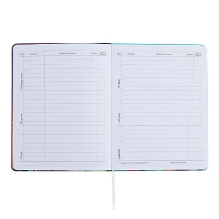 Universal diary for grade 1-11, hard cover, artificial leather, foam rubber, foil embroidery, liesse, 80 g/m2-6