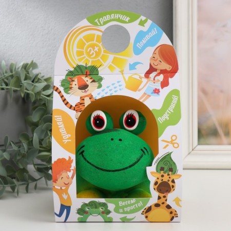 Growing gift grass "Frog"-4