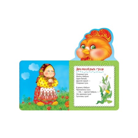 Cockerel - golden scallop-1