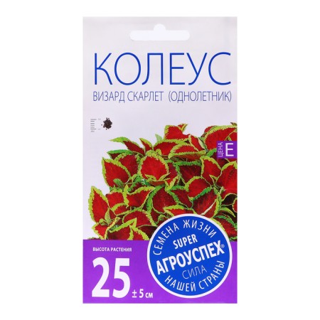 Flower seeds Koleus "Byzard Scarlet", 10 pcs