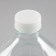 Glass bottle "Called", 5 l, with a lid