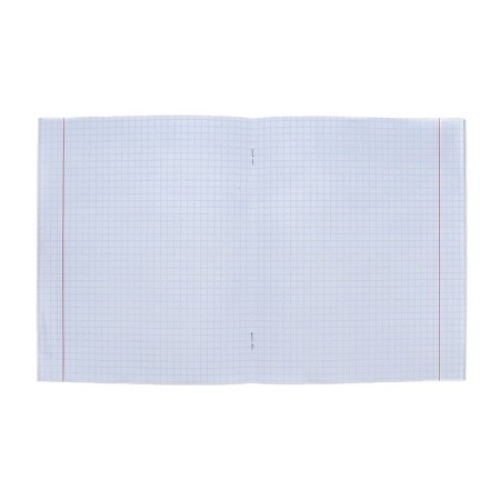 Notebook of 48 sheets in the cage "Creative duckling", cover coated cardboard, glitter, mix-2