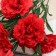 Bouquet "Galant silk" 39 cm, mix