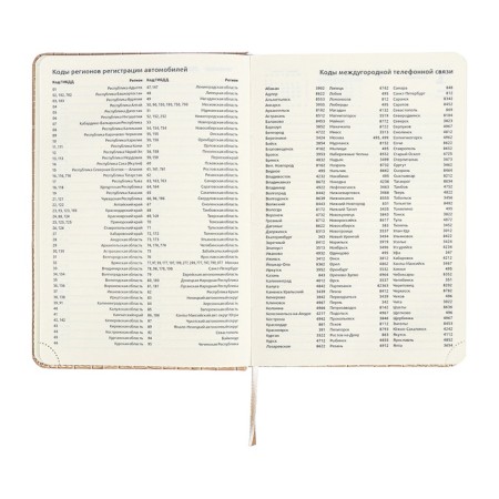 Dated diary 2025 A5 168 sheets, Devente.Barbara, a solid cover to leatherette with foam, praise, perforation, lies, block 70, beige, beige-12