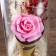Network Sobe "Pink rose in the bouquet" LED 3AAA 10x10x21 cm Risalux