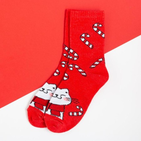 New Year's socks KAFTAN "Cat" rr 14-16, red-1