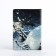 Passport cover, gray color