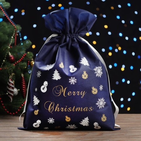 New Year. Gift bag "WHICH ROOM", 40 x 56 cm