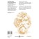 History of you. A brief guide for genealogy. Saltykova V.V.