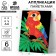 Application with sequins "Parrot on a branch" + 6 colors of sequins of 7 grams