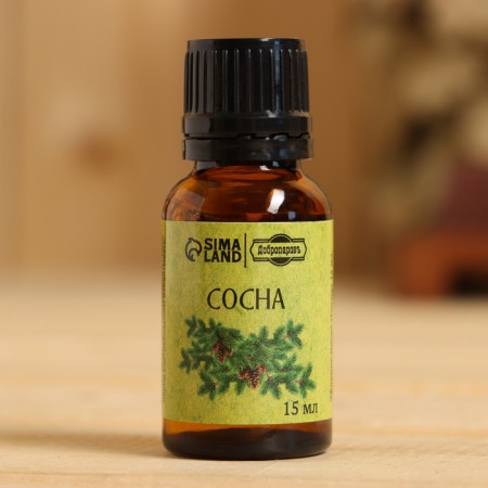 Essential oil "Pine" in a box of 15 ml-1