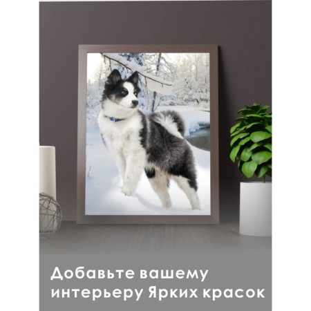 Diamond mosaic "Husky" 30 × 40 cm-1