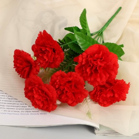 Bouquet "Perennial Margarita" 7x26 cm, mix