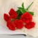 Bouquet "Perennial Margarita" 7x26 cm, mix