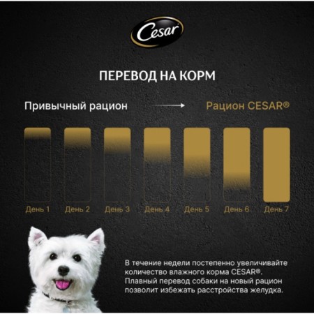 Wet Cesar food for dogs, a paste with a lamb, a spider, 80 g-2