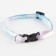 A collar for dogs and cats with Fasteks "My Joy", 30x1 cm