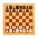 Demonstration chess and checkers 61 x 61 cm, on a magnetic board, king 6.4 cm