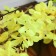 Artificial flowers "acacia" 4x90 cm, yellow