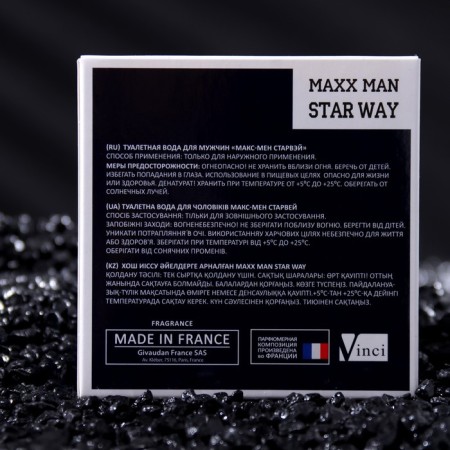 Male Water Male Maxx Man Starwa, 100 ml (based on EgoSte Platinum (Chanel)-2